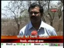 tiger Crualty