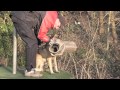 Video Vorschau