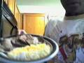 Cookin