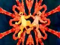 legacy of the lion king