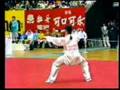 Taijiquan