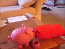 A Day in the Life of a Piggy Bank