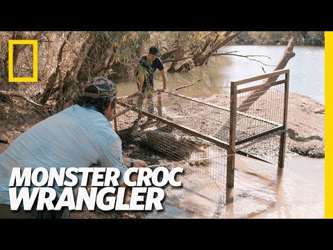 Croc In The Mud | Monster Croc Wrangler