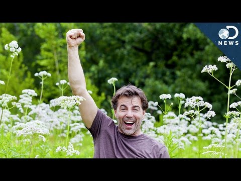 Can We Prevent Allergies?
