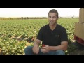 Meet 5th Generation Farmer Will Terry 