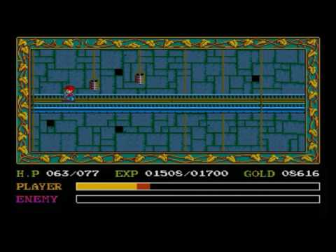 動画