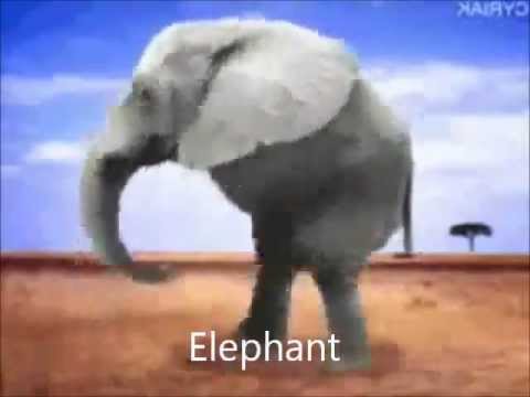 Retarded Running Animals