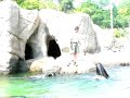 Sea Lion Pup at Bronx Zoo