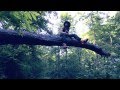Kinetics Cosmic Consciousness Video and Lyrics