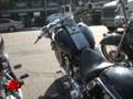 Outlaw Biker Gang Busted