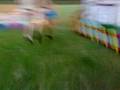 videos de party boy