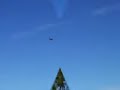 c160 C 160 C-160 Transall Twin Engine Modifications