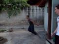 videos de Cambota