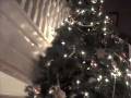 videos de holidays at the Dormer House