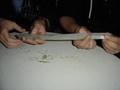 Weed Cannabis fat spliff