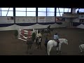 Top Arabella Six Barres Elgg 2009 150cm!