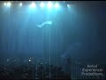 Imagine Christmas Aerial Dance & Acrobatics