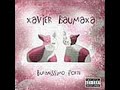 Pan farář - Xavier Baumaxa