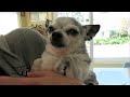 CuteWinFail: Can't touch the entertainment