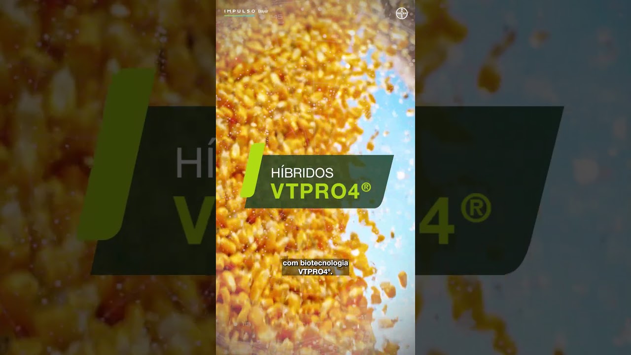 Bayer VAlora Milho | Impulso Minuto Ep. 02