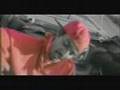 Bloods Documentary Part 2