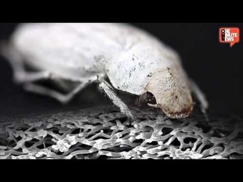 how to whiten white plastic