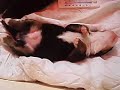 Mon Boubou de 9 jours qui rêve