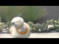 08 SPHERO BB8 BRANDFOLDER VIDEO HD