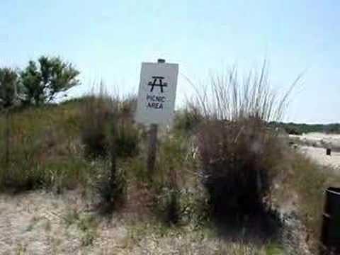 BBQ Scout Report: Robert Moses Park