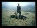 wild boar Hunting-Gjuetija Derrit