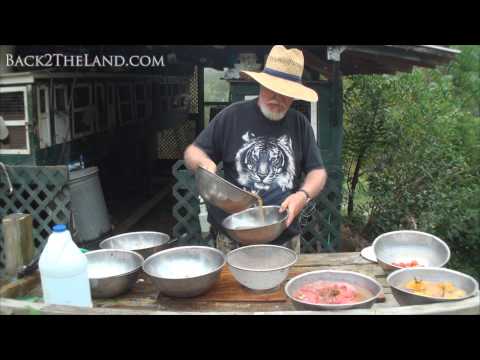 how to harvest tomato seeds for next year