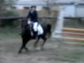 videos de Léa &&` Helios.