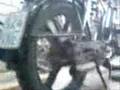Mofa-Vespa-Ciao-Stan