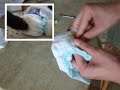Baby Diaper To Kitty Doggie Diaper