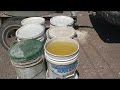 Prickly Pear Paint Prickly Pear Paint