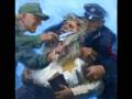 videos de We Remember