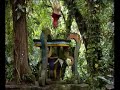 Xilitla: The Surreal Gardens of Las Pozas Xilitla: The Surreal Gardens of Las Pozas