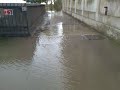 Canale brian Canale brian