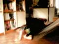 videos de Coupole