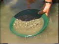 Panning For Gold