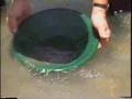 Panning For Gold
