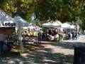 Dunedin Florida Fresh Market 34698