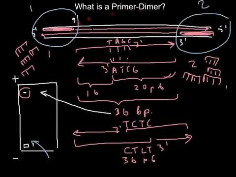 how to treat high d'dimer