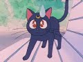 Sailor Moon S ep. 93 parte 1 [Dublado em Portugu�s]