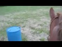 Riding Jack From A rider Veiw