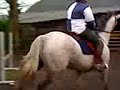 Fi on william