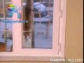 هاني شاكر .. الحلم الجميل حزين.