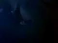 Fever Life - Nova Xavantina Fever Life - Nova Xavantina