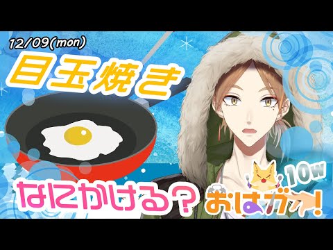 動画