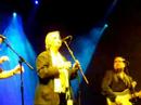 The Blockheads @ Glastonbury 2008 - 'Itinerant Child'